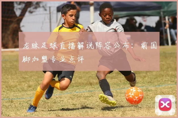 龙珠足球直播解说阵容公布：前国脚加盟专业点评