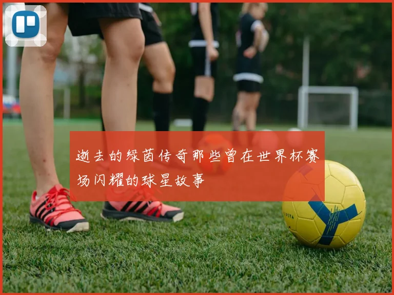 逝去的绿茵传奇那些曾在世界杯赛场闪耀的球星故事