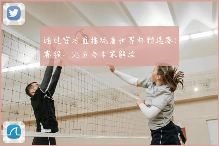 通过官方直播观看世界杯预选赛：赛程、比分与专家解读